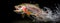 Rainbow trout in the water. Generative AI,