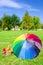 Rainbow umbrella and Picnic basket