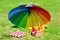 Rainbow umbrella and Picnic basket