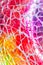 Rainbow Vibrant Coloured Shattered Glasss Mosaic Background