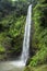 Rainbow Waterfall, also known as Catarata Arco Iris, is the third of five waterfalls along the hiking trail at Viento Fresco Water