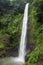 Rainbow Waterfall, also known as Catarata Arco Iris, is the third of five waterfalls at Viento Fresco Waterfalls in Costa Rica.