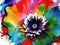 Rainbow wildflower vivid colorful floral graphic art