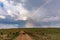 Rainbow Wildlife Animals Mammals at the savannah grassland wilderness hill shrubs great rift valley maasai mara national game