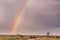 Rainbow Wildlife Animals Mammals at the savannah grassland wilderness hill shrubs great rift valley maasai mara national game