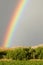 Rainbow zoom over grape vineyards