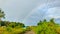 Rainbows decorate the Manokwari sky after the rain