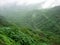 Rainclouds over forest