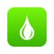 Raindrop icon green vector