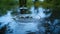 Raindrop ripples in puddles, reflecting the azure sky, heralding a refreshing spring shower.