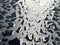 Raindrops on the black table surface that forms some abstract conceptual background