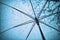 Raindrops fall on clear umbrellas under a dry tree branch and heavy rain thunderstorm