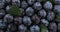 Raindrops falling on a heap of plums. Rotation of plums. View from above.