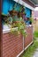 Raindrops fly on Petunia flowers hanging in pots in the street behind the veranda with artificial brick curtains in a private hous