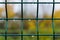 Raindrops on a metal grate. Green metal fence close-up