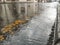 Raindrops reflected in the puddle of the Elizondo road with transverse waves, in Navarra