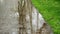 Raindrops and reflections of trees on a puddle in slow motion