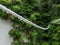 Raindrops on a washing line