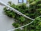 Raindrops on a washing line of a house