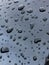 Raindrops water drops on black metallic glossy background