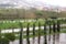 Raindrops on the window glass, bright spring green foliage and grass, houses on the mountainside