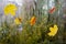 Raindrops on a window pane with colorful leaves on a blurred background.