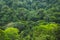 Rainforest aerial view on forest - aerial view on jungle