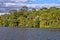 Rainforest along the Tambopata River, Peru