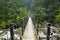 Rainforest bridge in Yakusugi Land on on Yakushima, Japan