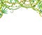 Rainforest canopy. Jungle frame. Branches of tropical trees, grasses and bushes. Stems of vines. Flat cartoon style