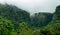 Rainforest in Dominica