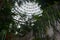 Rainforest greenhouse Dome in Taichungâ€™s Botanical Garden