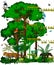 Rainforest jungle layers vector illustration. Vector Green Tropical Forest jungle with different animals.