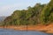 Rainforest lake shoreline