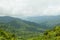 Rainforest landscape in Monteverde Costa Rica