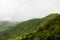 Rainforest landscape in Monteverde Costa Rica