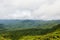 Rainforest landscape in Monteverde Costa Rica