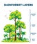 Rainforest layers vector illustration. Jungle structure educational scheme.