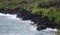 The rainforest lined, black volcanic rocky shoreline with tourists sight seeing at Waianapanapa State Park