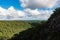 Rainforest from Minyon Falls lookout in Nightcap National Park, Australia