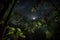 rainforest at night, with stars and moon shining through the canopy