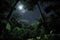 rainforest at night, with stars and moon shining through the canopy