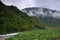 Rainforest in Otira valley, Arthur\'s Pass NP