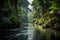 rainforest river flowing through protected land