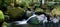 Rainforest River Panorama