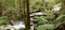 Rainforest River Panorama