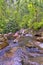 Rainforest River, Sinharaja National Park Rain Forest, Sri Lanka