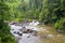 Rainforest River, Sinharaja National Park Rain Forest, Sri Lanka