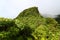 Rainforest of Saint Kitts