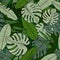 Rainforest seamless pattern. Modern exotic tropical palm leaves backdrop